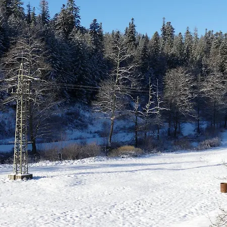 Haus Gisela Apartamento *