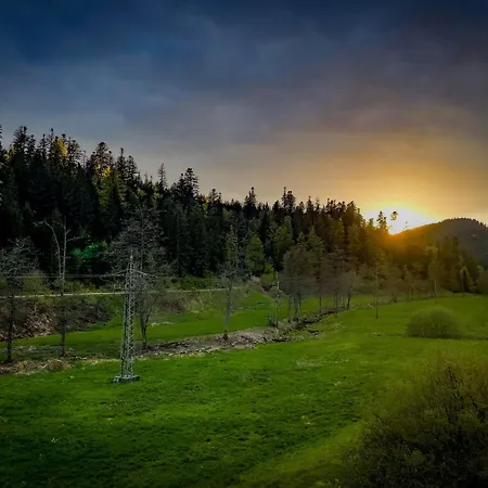 Haus Gisela Apartamento Forbach